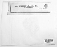 Image Associated With the Occurence